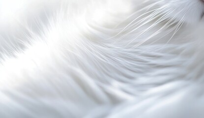 Fototapeta premium Close-up of soft, white fur texture.