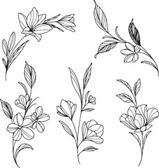 Botanical drawing. Minimal plant logo, meadow greenery, leaf and blooming flower abstract sketch element collection, linear rustic branch. Vector hand drawn wedding invitation bouquet decoration set