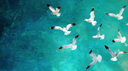 Obraz premium A flock of seagulls flying over blue-green water