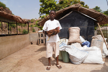 Young black boy with a rooster in his arms standing in front of stacks of feed sacks in a poultry farm in Africa