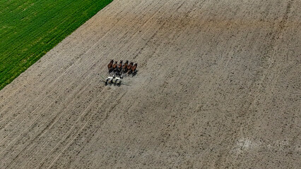 Horses are seen working together to plow a large, freshly tilled field. The landscape shows contrasting green grass and brown earth under clear skies, suggesting warm weather.