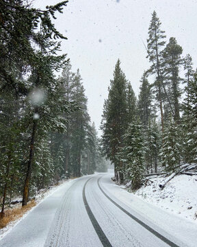 Driving in a Snowstorm in Yellowstone National Park