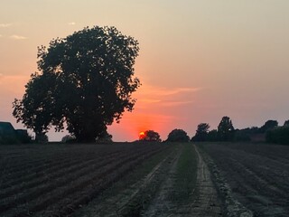 Sonnenuntergang in Menden im Sauerland	