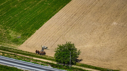 Ariel view of rural landscape, a group of horses pulling farm equipment working together on a large field. Some areas are planted with crops while others remain bare.