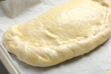 Uncooked calzone pizza in baking dish, closeup