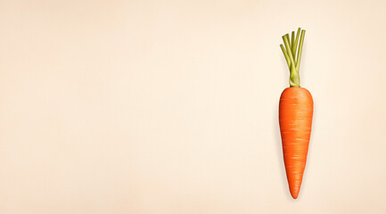 Vintage Style Carrot Illustration: A Minimalist's Delight