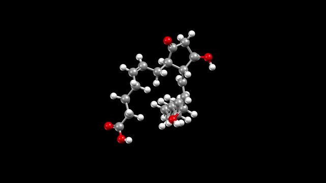 Structure of prostaglandin E2. Animated 3D ball-and-stick and space-filled models, black background.
