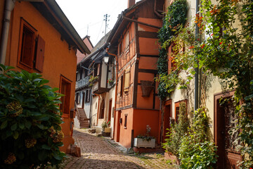 Picturesque town street with colorful, blooming facades, France