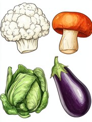 Naklejka premium Hand drawn vegetables. Garden cauliflower, pepper and eggplant, champignons. Fresh vegan products. Sketch vegetable vector isolated set. Illustration of champignon and cucumber, cabbage and mushroom