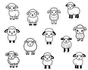 Cute Sheep