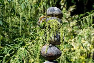  Garden sculpture of stacked round river rocks with branch of False Hemp plant draped over it, peaceful nature background
