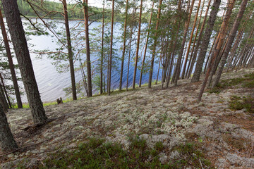 Photo of lake region