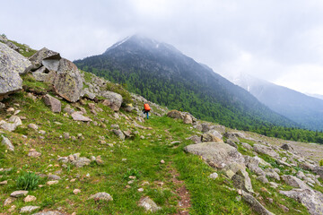 Sendero de montaña verde y rocoso con excursionista solitario bajo un cielo nublado. Paisaje de montaña con árboles y rocas, naturaleza salvaje y tranquilidad en la cima de una colina. GR11, Lleida