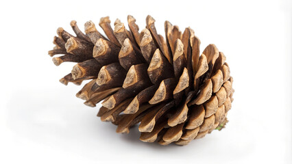 Christmas Wreath, Red Ribbon Bow, isolated on white background