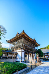 Fototapeta premium 秋の成田山新勝寺 総門 千葉県成田市 Naritasan Shinshoji Temple in autumn. Sōmon. Chiba Pref, Narita City.