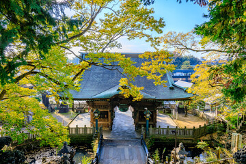 Obraz premium 秋の成田山新勝寺 仁王門 千葉県成田市 Naritasan Shinshoji Temple in autumn. Niomon. Chiba Pref, Narita City.