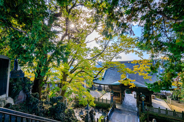 秋の成田山新勝寺　仁王門　千葉県成田市　Naritasan Shinshoji Temple in autumn. Niomon. Chiba Pref, Narita City.