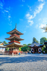 Naklejka premium 秋の成田山新勝寺 三重塔 千葉県成田市 Naritasan Shinshoji Temple in autumn.three-storied pagoda. Chiba Pref, Narita City.