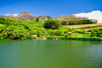Fototapeta premium Scenic lake with lush vegetation and Helderberg Mountain in the background, Somerset West, South Africa