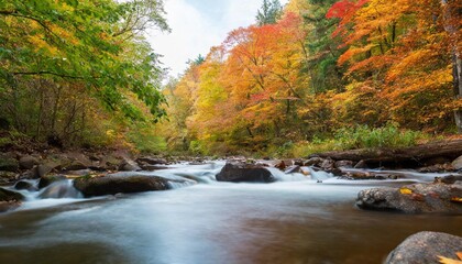 Gentle River Flowing Through Autumn Forest Surrounded by Vibrant Foliage