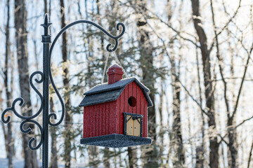 Cold Frosty Day for the Bird House in the Woods