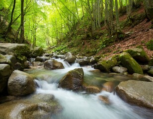 Obraz premium Crystal Clear Mountain Stream Flowing Through Lush Green Forest Under Bright Daylight