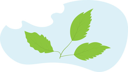 Green, fresh spring leaves against the background of a blue sky with a white cloud. The concept of environmental protection