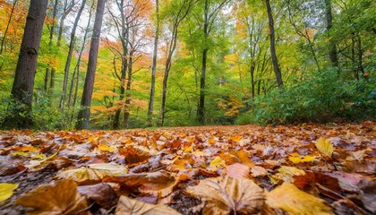 Vibrant Autumn Leaves Blanketing the Forest Floor in a Quiet Woodland Clearing