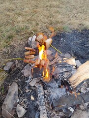 campfire in the forest