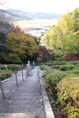 宗像市の鎮国寺の参道風景