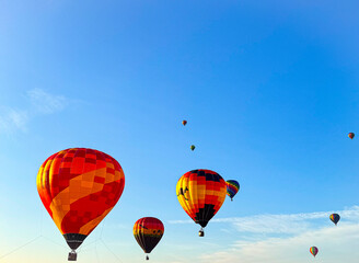 Hot Air Balloons Rising into the Clear Sky at Sunrise