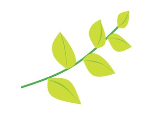 green leaves isolated on white