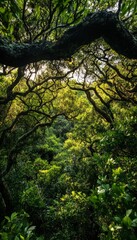 Obraz premium Discovering earth s splendor enchanting nature photography of lush forest landscapes for awareness