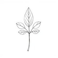 Obraz premium Graceful Simplicity A Minimalist Line Drawing of a Five-Leaf Plant Emphasizing Natures Balanced Elegance.