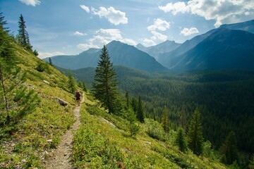 Mount assiniboinne trail backcountry camping and hikking