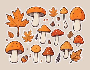Hand drawn vector collection autumn elements. Fall leaves, mushrooms, maple, acorns, berries, oak, pumpkins. Harvest time. Modern trendy illustration. Autumn floral stickers.