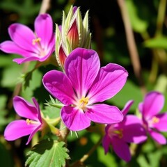 Petals of Joy A Lush Display of Vibrant Pink Blooms Framed by Lush Greenery in Natures Embrace.