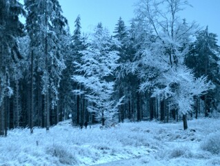 Winter in the Taunus Mountains Germany