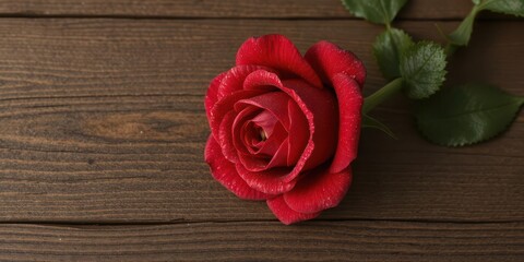 Single crimson rose, dew-kissed petals, rustic wood background, beauty,photography,valentines