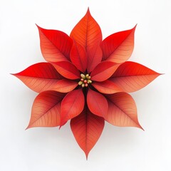 Obraz premium Red poinsettia flower isolated on white background
