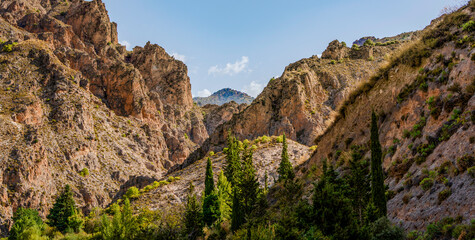 Rocky Landscape with Trees Near Granada Featuring Verdure and Mountain Views