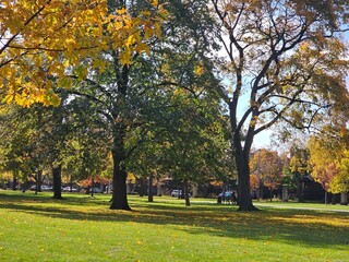 Fall in the park