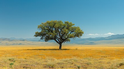 Fototapeta premium A solitary tree stands in a vast golden field under a clear blue sky.