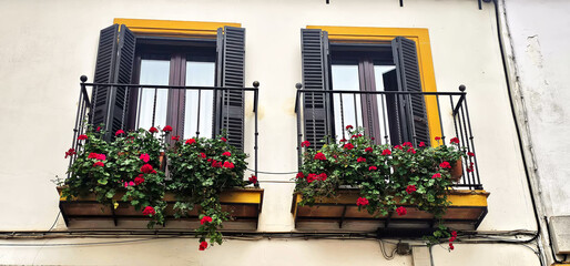 Two balconies with black shutters and iron railings adorned with red geraniums and green foliage; yellow trim frames the windows on a white wall;