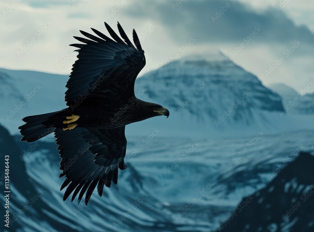 Poster eagle soars against snowy mountainscape with cloudy sky.