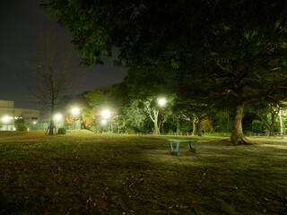 Obraz premium 冬の夜の静かな公園の森の風景