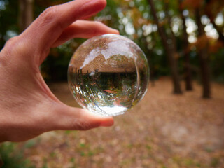 片手で持つ透明な水晶ガラスボールに写す冬の公園の紅葉の森の風景