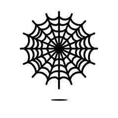 Intricate Spiderweb Design 