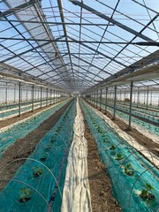 Regulating temperature, light, and humidity inside a greenhouse is essential for creating an optimal environment for plant growth.