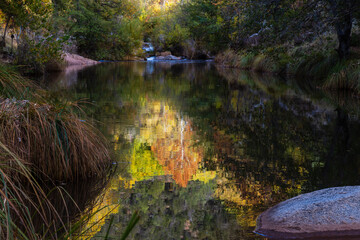 Vivid Autumn trees reflecting in a quiet pool along East Verde River near Payson, Arizona.